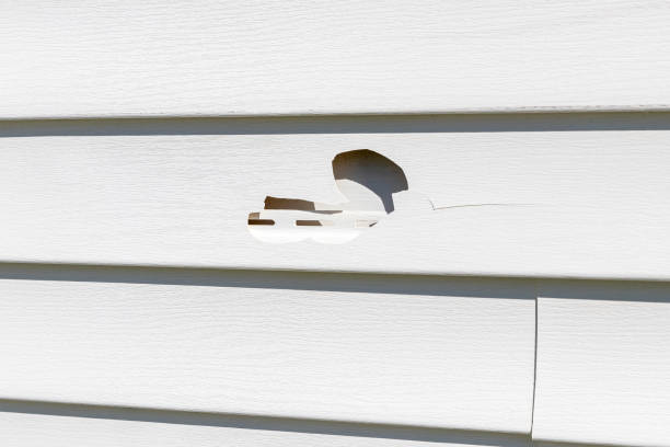 How To Choose The Right Materials for Your Siding Installation in 'Duvall, WA